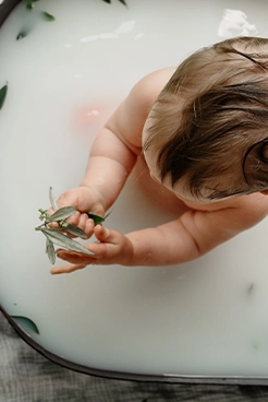 exemple vidéo mariage Hautes-Alpes Provence